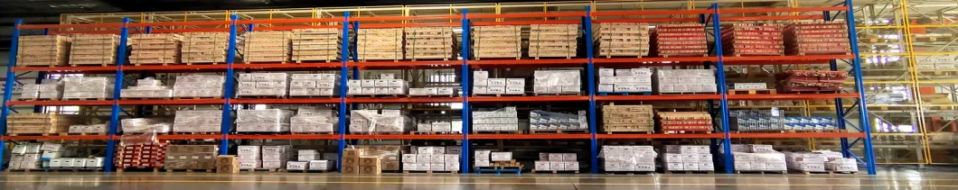 Highly Define Customized Warehouse Agv Shelving with CE.